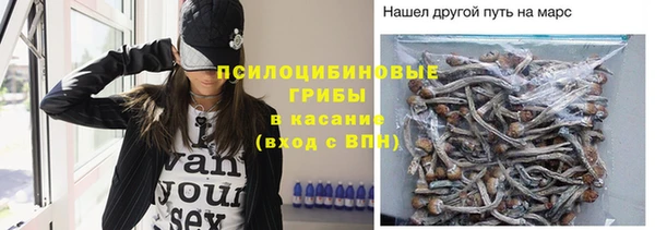 гашик Баксан