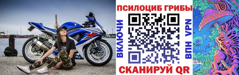 Псилоцибиновые грибы прущие грибы  Купить где  Гаджиево 